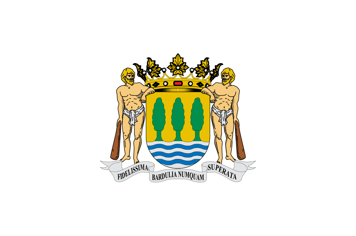 Bandera de la provincia de Guipúzcoa